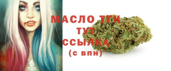 прущая мука Вяземский