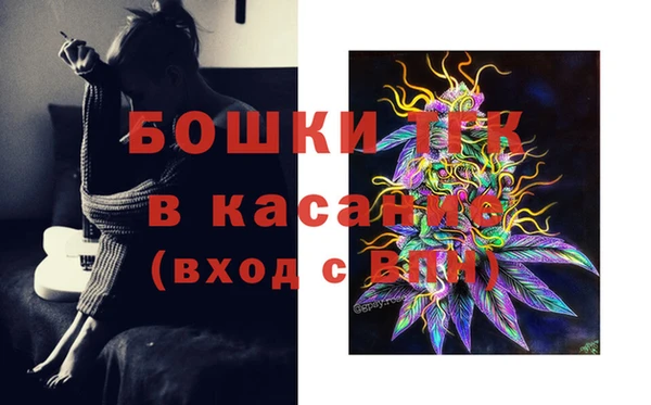 прущая мука Вяземский