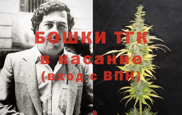 прущая мука Вяземский