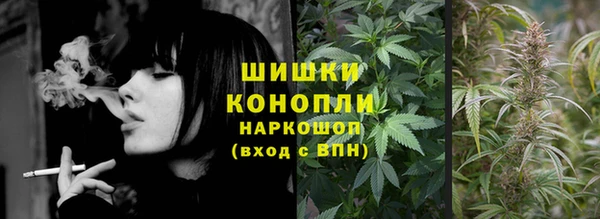 spice Верея