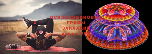 прущая мука Вяземский